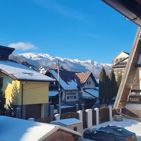 Vila Panselutelor 6 Sinaia Luaran gambar