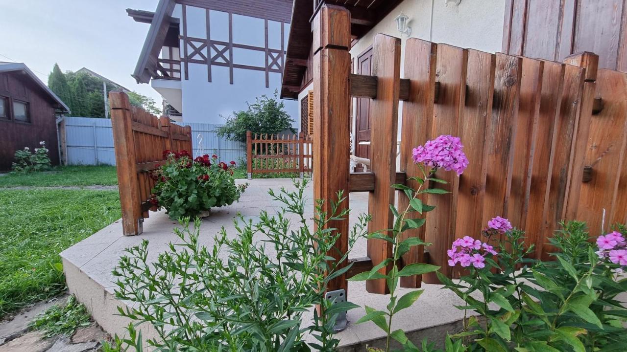Vila Panselutelor 6 Sinaia Luaran gambar